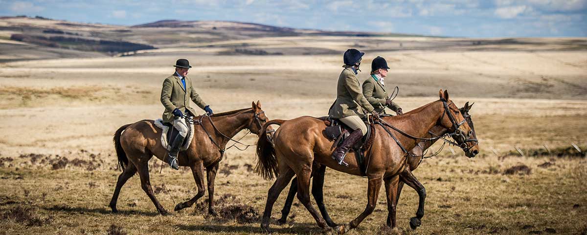 Three people on horses in Exmoor